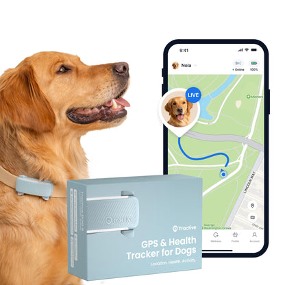 Tractive GPS Dog Tracker | 2025 Edition | Market leader | Real-time location tracking | Escape Alerts | Activity Monitoring | Health Alerts | Bark Monitoring (Black)