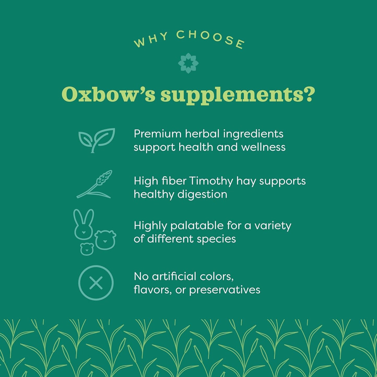 Oxbow Animal Health Natural Science Joint Support, transparent