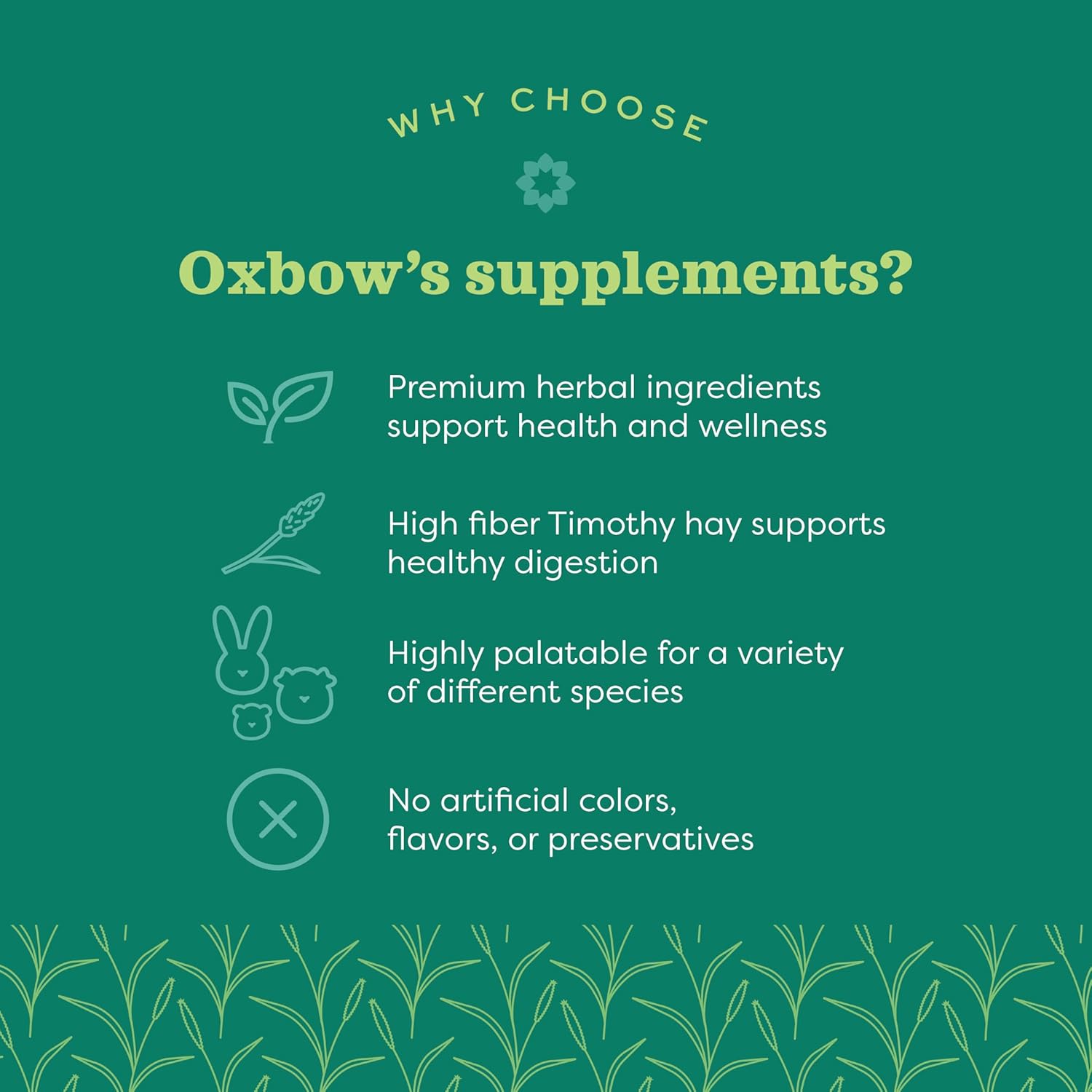 Oxbow Animal Health Natural Science Joint Support, transparent