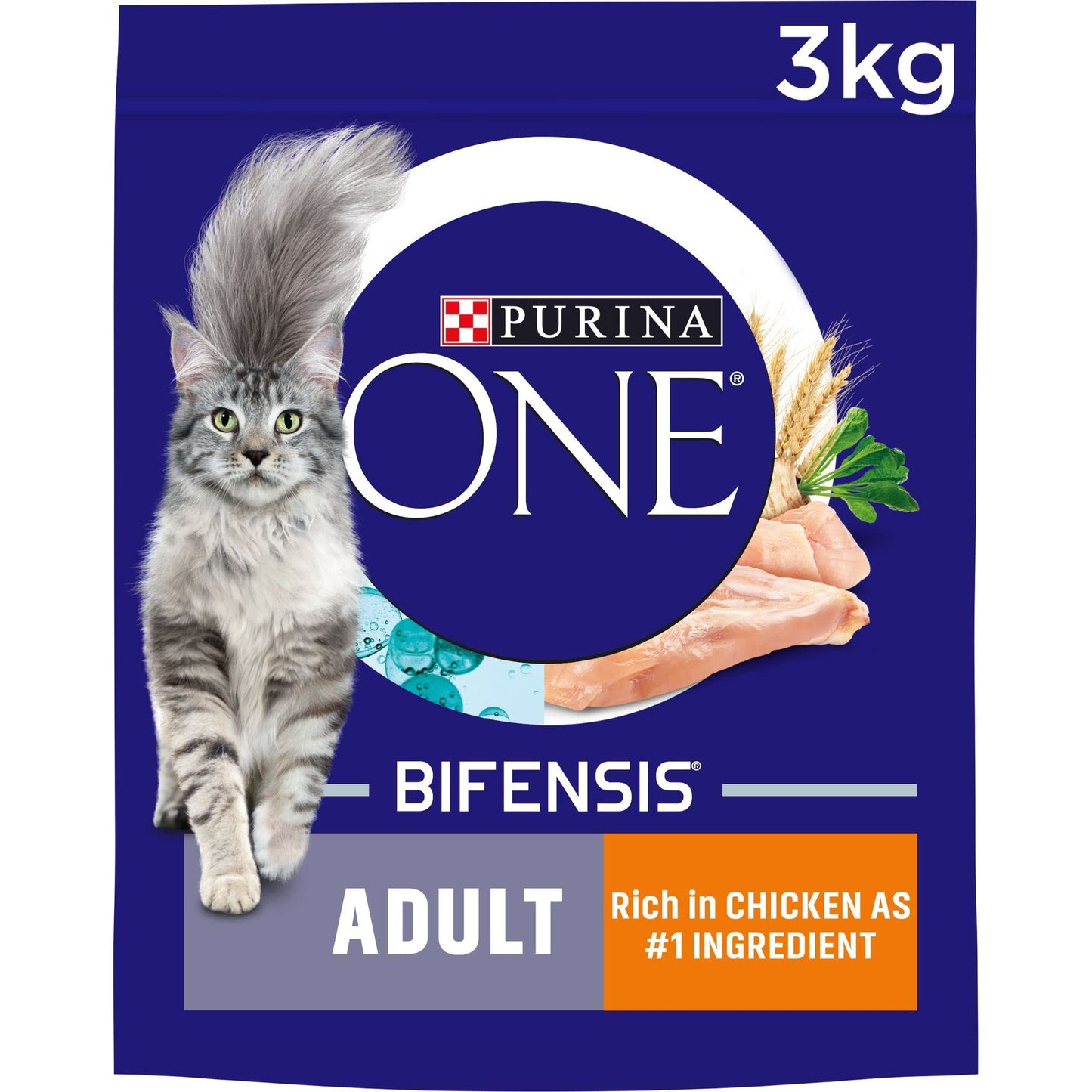 Purina ONE Adult Dry Cat Food Rich in Chicken 6kg, Packaging may vary