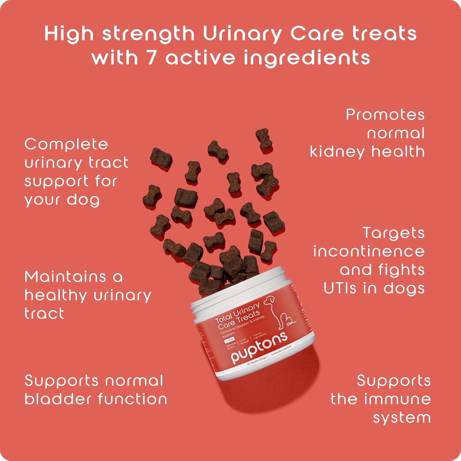 Total Urinary Care Treats | Dog UTI, Incontinence & Cystitis Relief Soft Chews | Natural Ingredients | Advanced Bladder & Kidney Support for Dogs (90 Treats)