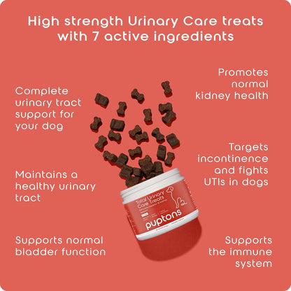 Total Urinary Care Treats | Dog UTI, Incontinence & Cystitis Relief Soft Chews | Natural Ingredients | Advanced Bladder & Kidney Support for Dogs (90 Treats)