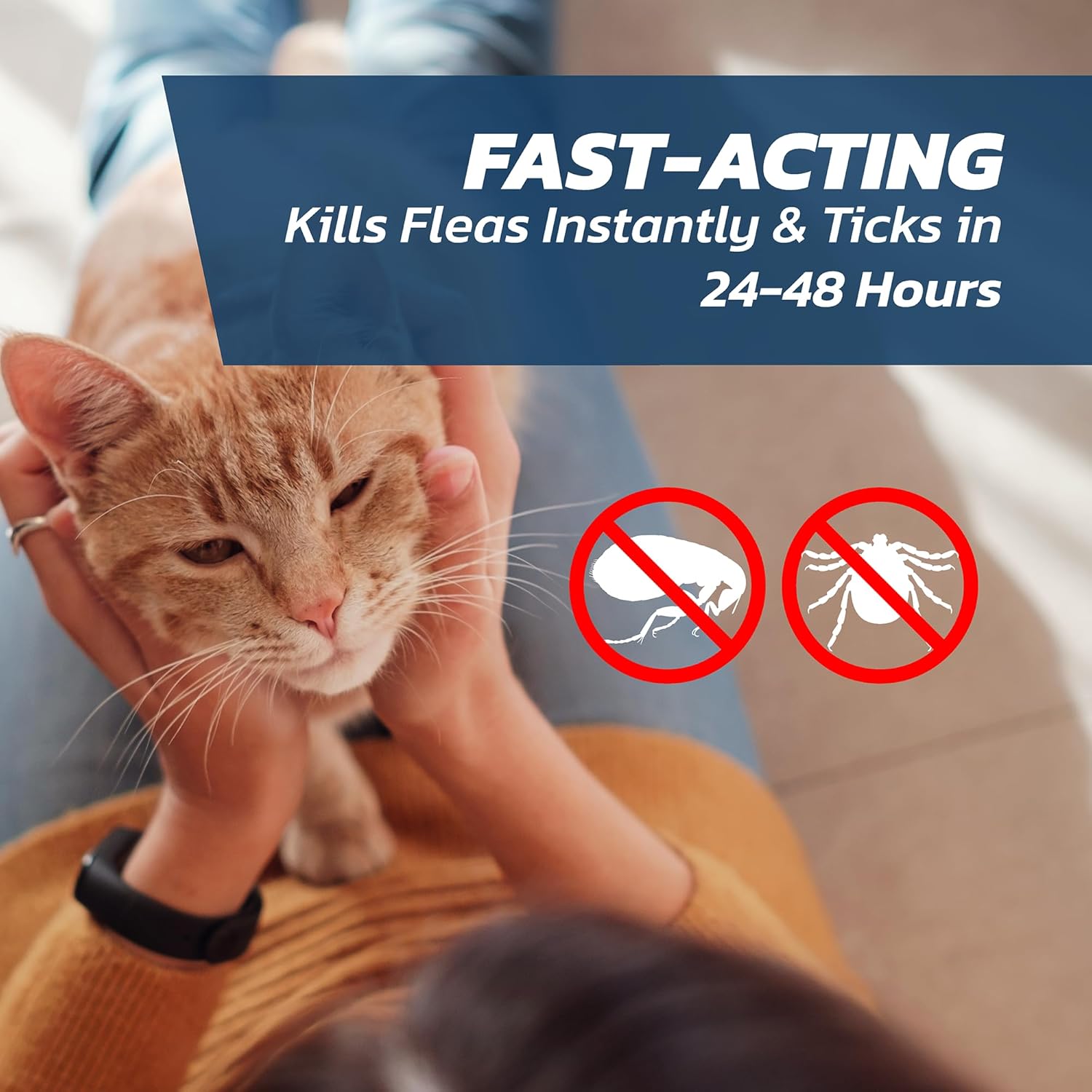 Cat Flea Treatment Spot On x 6 - Flea Treatment Cat Spot On for Cats & Kittens Over 1kg - 6 Pipettes, 6 Doses - Fast-Acting FleaSolve Solution