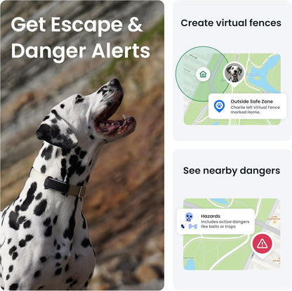 Tractive GPS Dog Tracker | 2025 Edition | Market leader | Real-time location tracking | Escape Alerts | Activity Monitoring | Health Alerts | Bark Monitoring (Black)