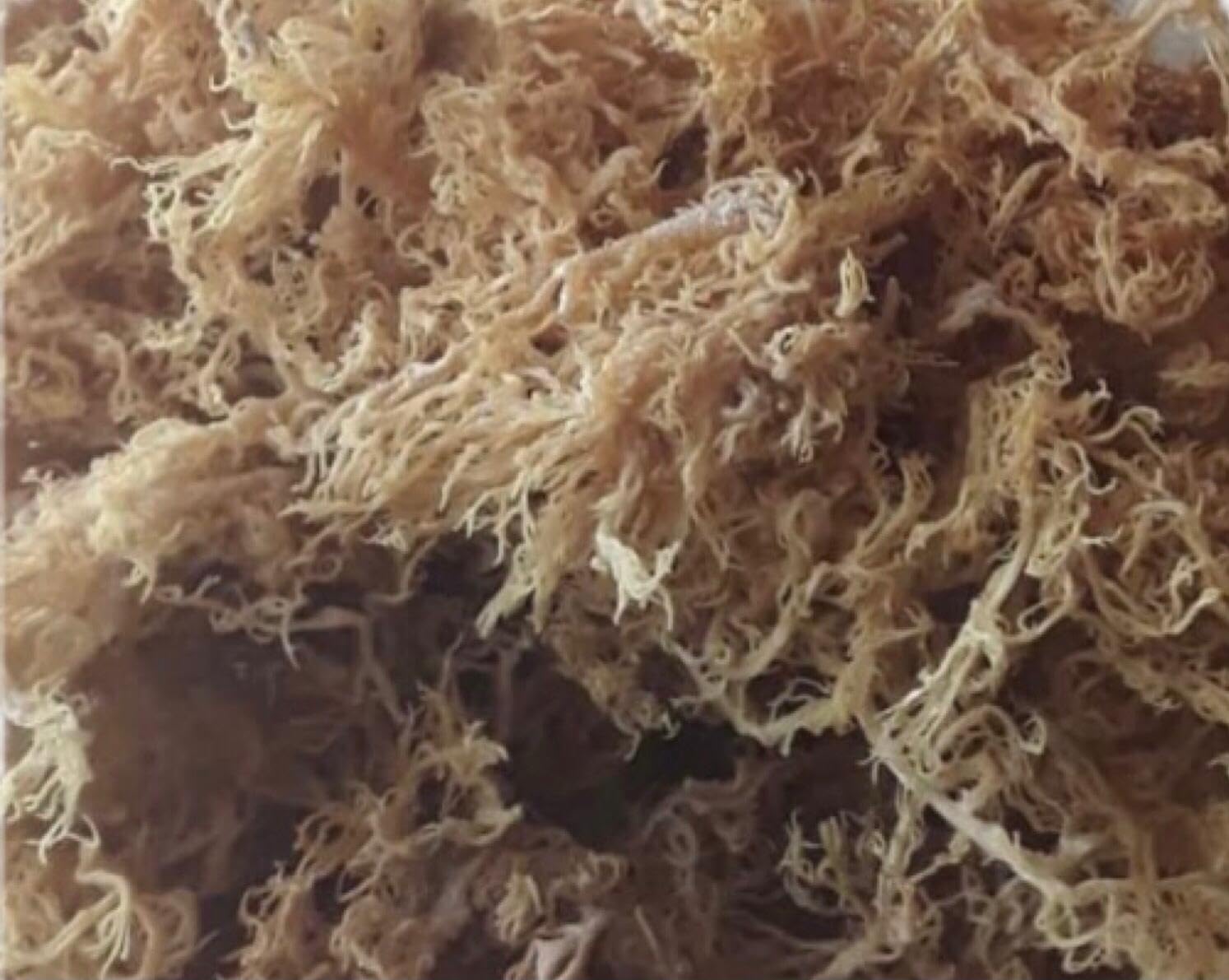 Sea Moss (raw) (Rainbow 1kg)