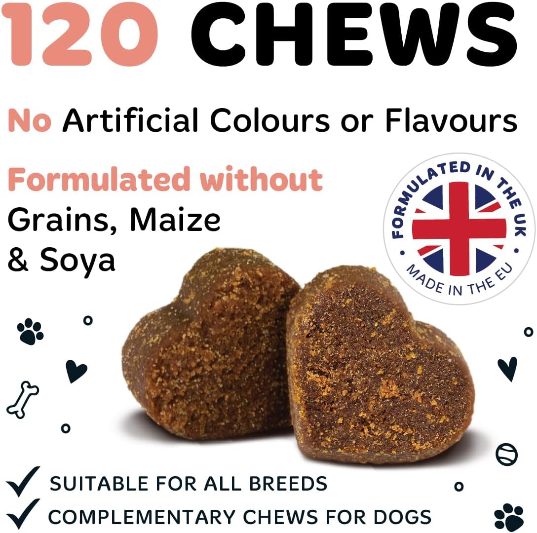 Bugalugs Scottish Salmon Oil Chews For Dogs, Dog Supplement Supports Skin And Coat, Dog Itchy Skin & A Moulting, Omega 3 Fish Oil (120 Chews, Salmon)