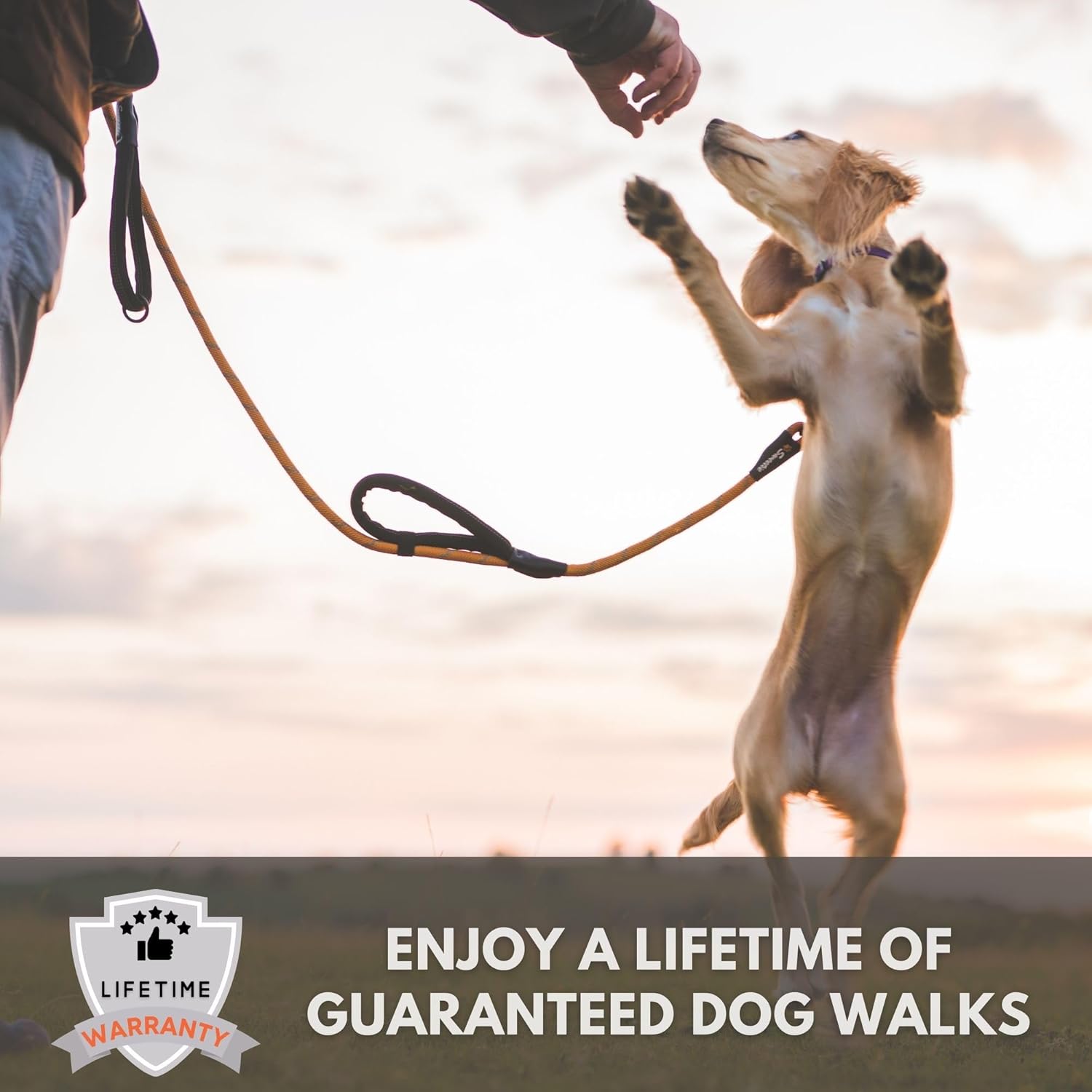 Rope Dog Lead - Innovative Design with Two Padded Handles - Reflective Stitching & O-Ring - 5 FT Long Leash for Medium & Large Sized Pets - Weather Resistant & Strong Material. Orange