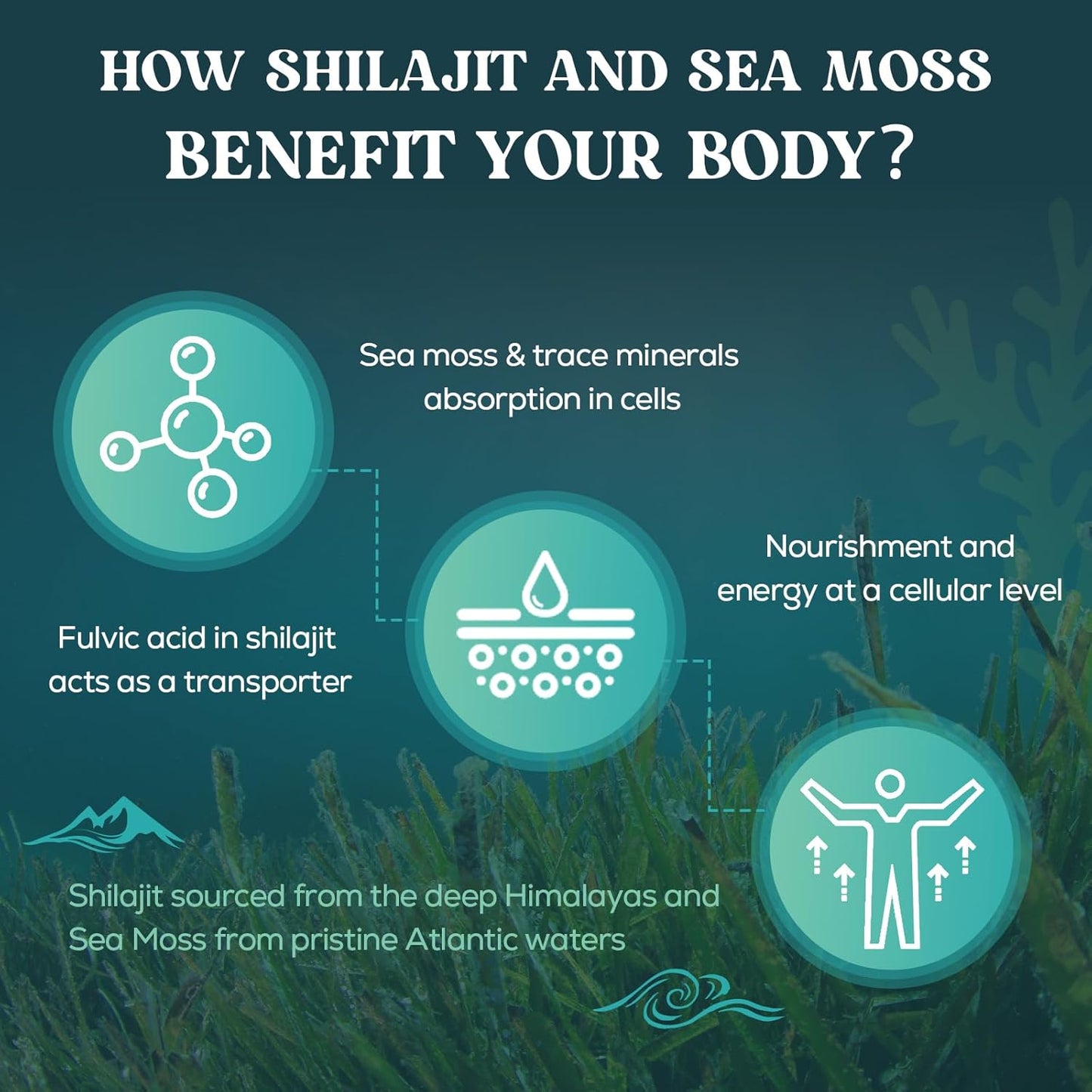 Shilajit Sea Moss and Ashwagandha Gummies 1500mg Per Serving, Enriched with 60% Fulvic Acid & 85+ Trace Minerals, High Strength Complex for Energy, More Convenient Than Resin (60 Count (Pack of 1))