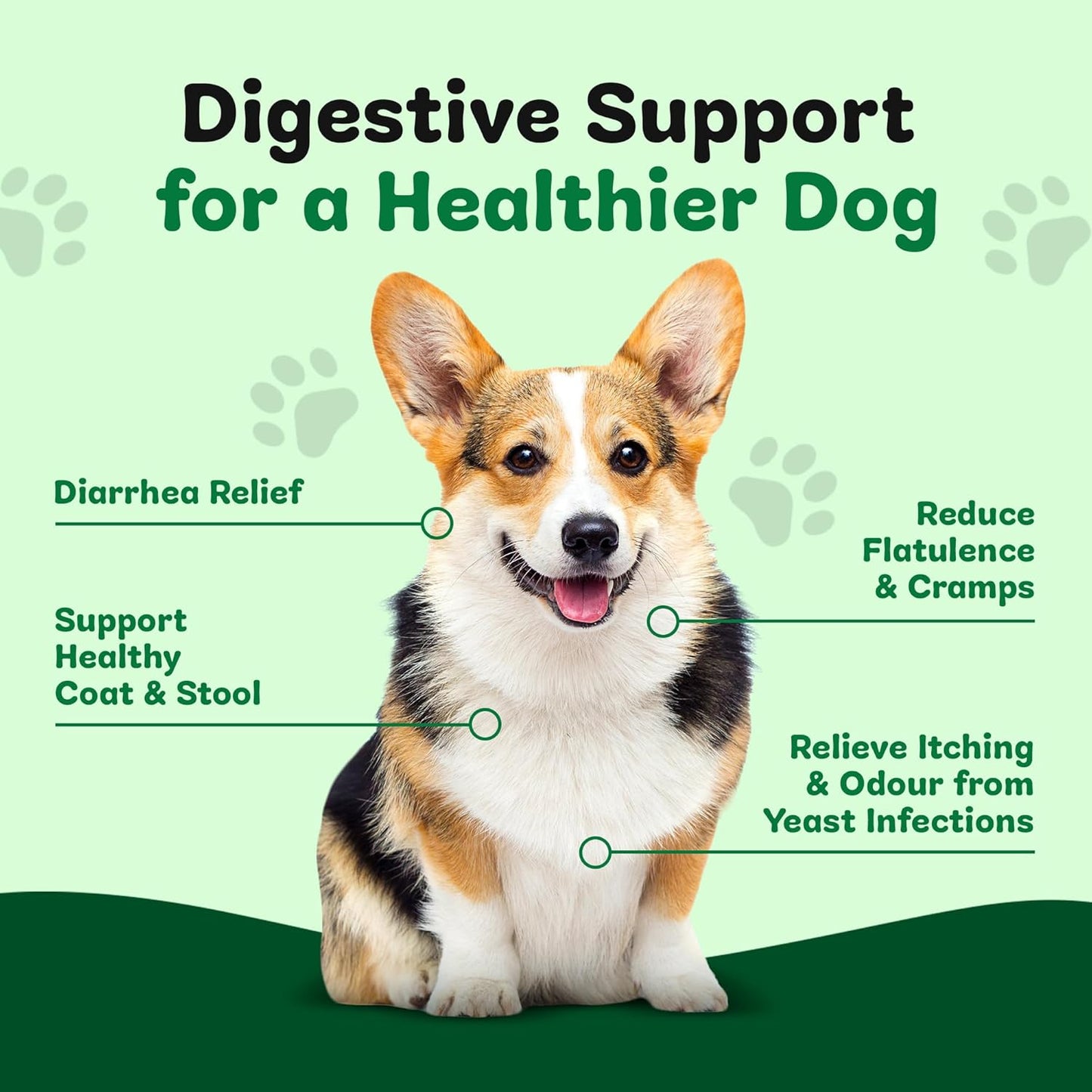 Probiotics For Dogs - Yeast Balance - Dog Probiotic for Gut Health, Diarrhea, Wind, Anal Gland - Tummy Settler - Itchy Skin - 120 Tablets with Prebiotics and Digestive Enzymes