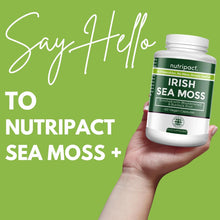Sea Moss Capsules, Bladderwrack and Burdock Root - 3280mg per Serving - One a Day High Strength - Easy to Swallow - Natural Source of Iodine - Chondrus Crispus - 60 Vegan Capsules