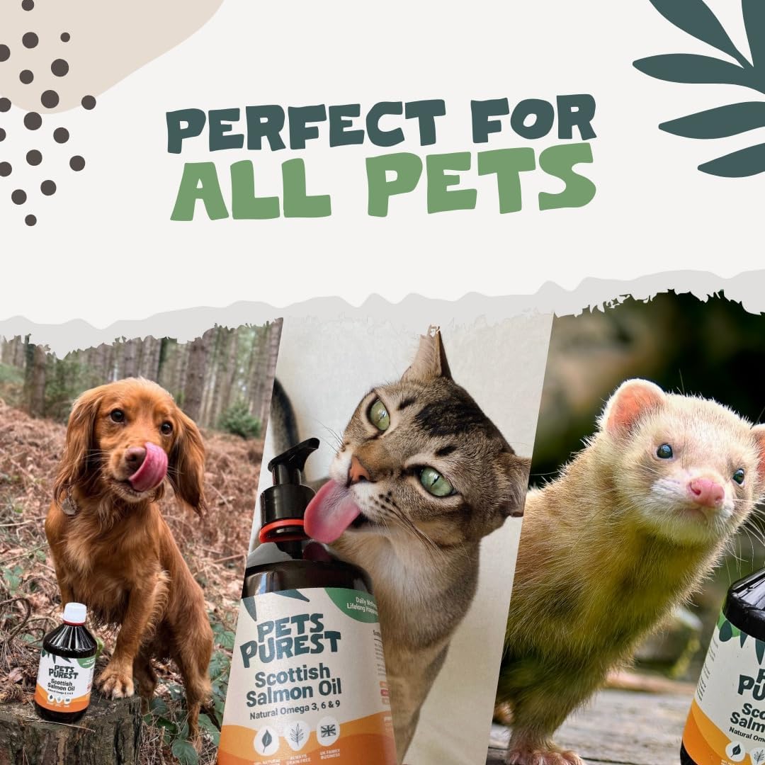 Scottish Salmon Oil For Dogs, Cats, Horse, Ferret - Pure Omega 3, 6 & 9 Fish Oil Food Treats Supplement for Natural Coat, Immune Support, Itchy Skin, Joint & Brain Health (500ml)