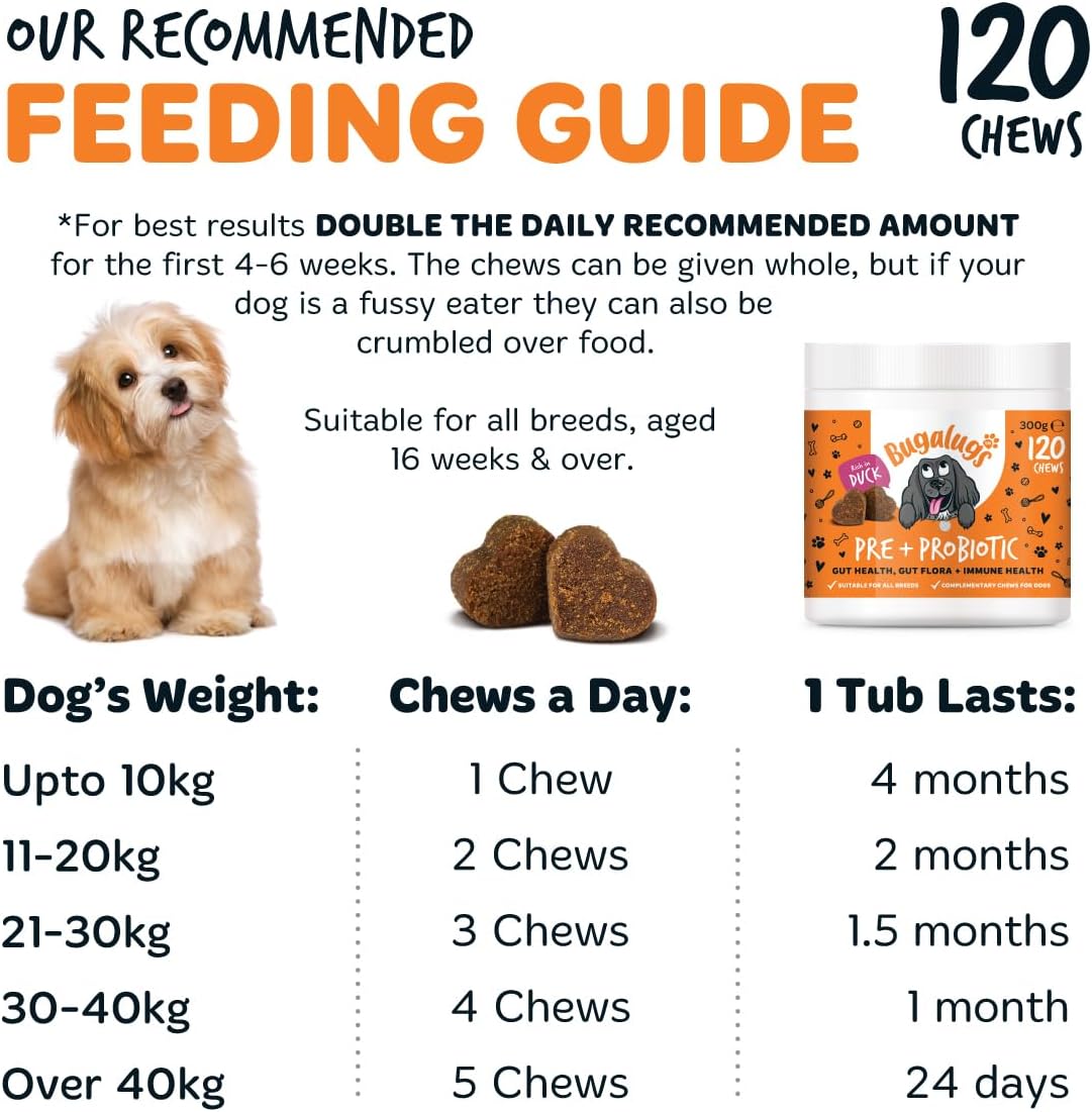Bugalugs Probiotics for Dogs Natural Dog Treats with Pumpkin Powder for dogs – Gut Health, Sensitive Tums, Anal Glands, Scooting, Loose Stools, Smelly, Itchy Ears, Great for all dogs