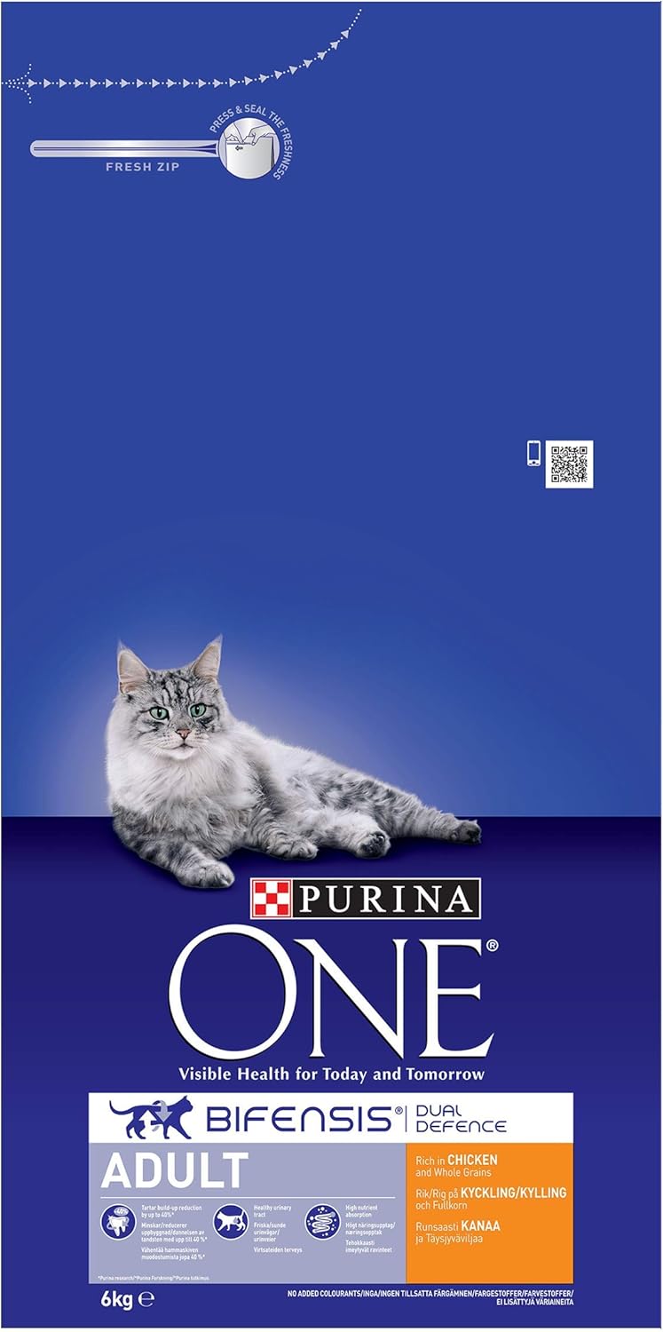 Purina ONE Adult Dry Cat Food Rich in Chicken 6kg, Packaging may vary