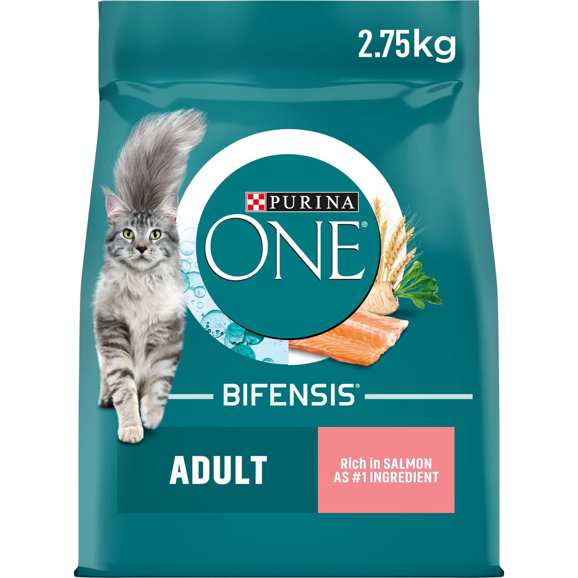 Purina ONE Adult Dry Cat Food Rich in Chicken 6kg, Packaging may vary