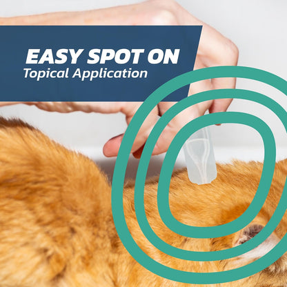 Cat Flea Treatment Spot On x 6 - Flea Treatment Cat Spot On for Cats & Kittens Over 1kg - 6 Pipettes, 6 Doses - Fast-Acting FleaSolve Solution