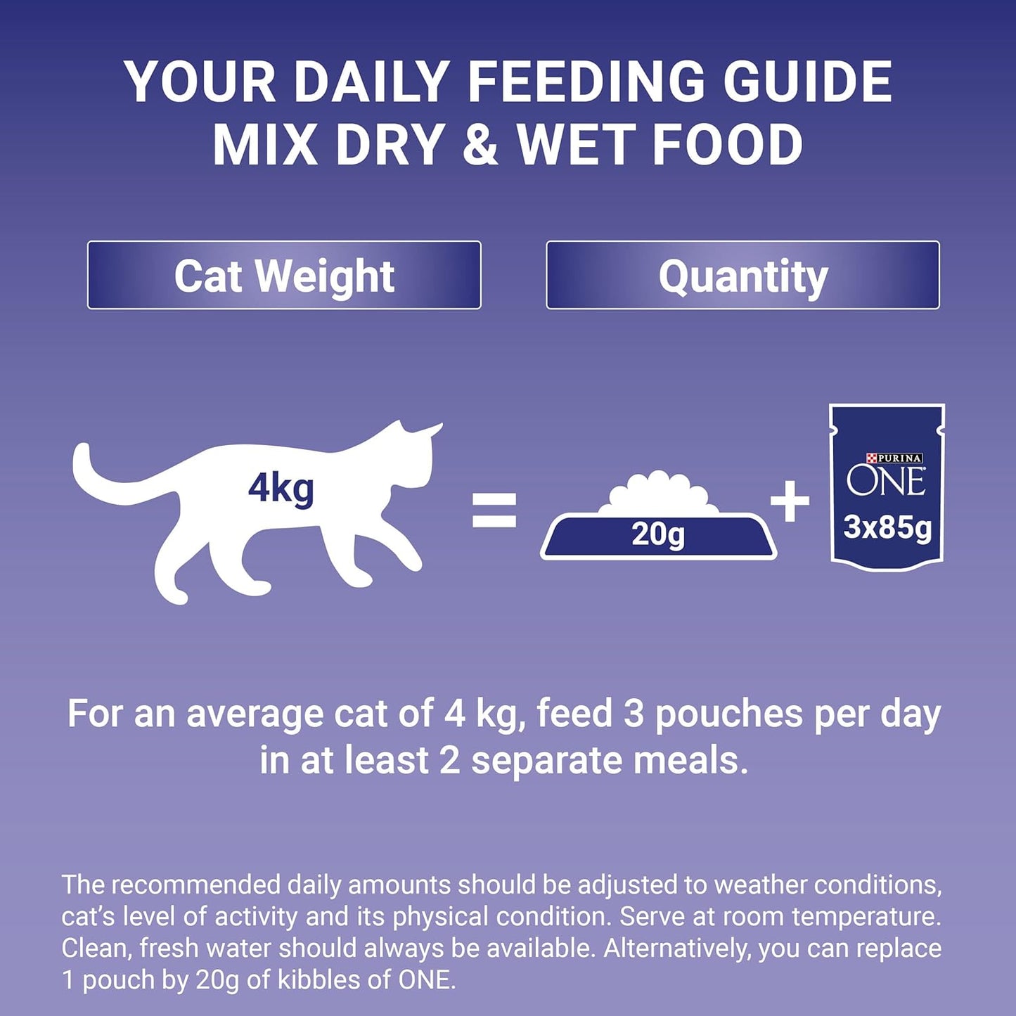 PURINA ONE Mini Fillets Mixed Selection in Gravy Wet Cat Food 40x85g