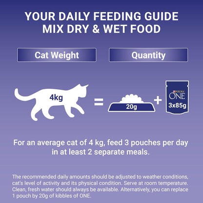 PURINA ONE Mini Fillets Mixed Selection in Gravy Wet Cat Food 40x85g