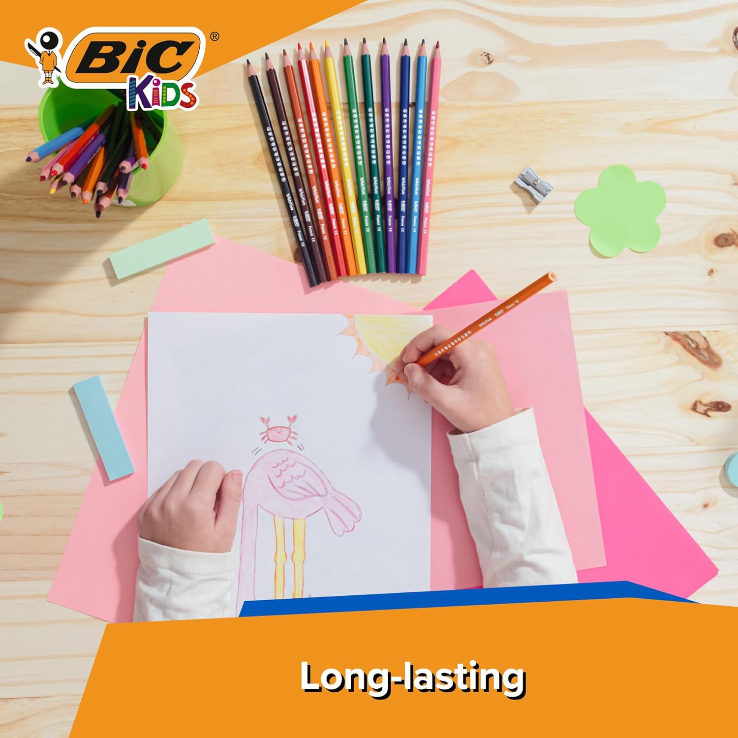 BIC Kids Evolution Coloured Pencils, Vivid Colouring Pencils, Easy to Sharpen BIC Pencils, School Supplies, 36 Pack