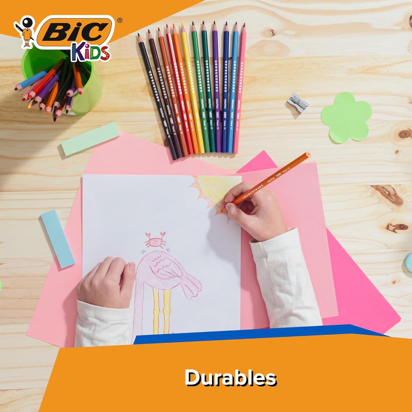 BIC Kids Evolution Coloured Pencils, Vivid Colouring Pencils, Easy to Sharpen, Extra Resistant BIC Pencils, School Supplies, 24 Pack