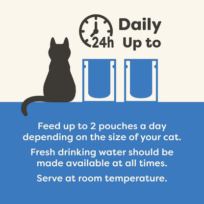 Applaws Natural Wet Cat Food Pouch, Fish Selection in Jelly 70 g (12 x 70 g Pouches)