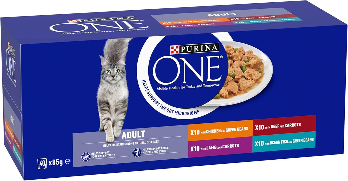 PURINA ONE Mini Fillets Mixed Selection in Gravy Wet Cat Food 40x85g