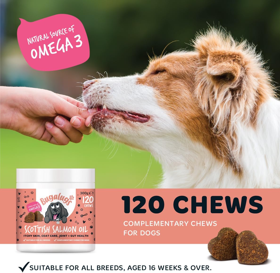 Bugalugs Scottish Salmon Oil Chews For Dogs, Dog Supplement Supports Skin And Coat, Dog Itchy Skin & A Moulting, Omega 3 Fish Oil (120 Chews, Salmon)