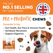 Bugalugs Probiotics for Dogs Natural Dog Treats with Pumpkin Powder for dogs – Gut Health, Sensitive Tums, Anal Glands, Scooting, Loose Stools, Smelly, Itchy Ears, Great for all dogs