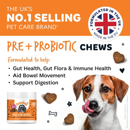Bugalugs Probiotics for Dogs Natural Dog Treats with Pumpkin Powder for dogs – Gut Health, Sensitive Tums, Anal Glands, Scooting, Loose Stools, Smelly, Itchy Ears, Great for all dogs