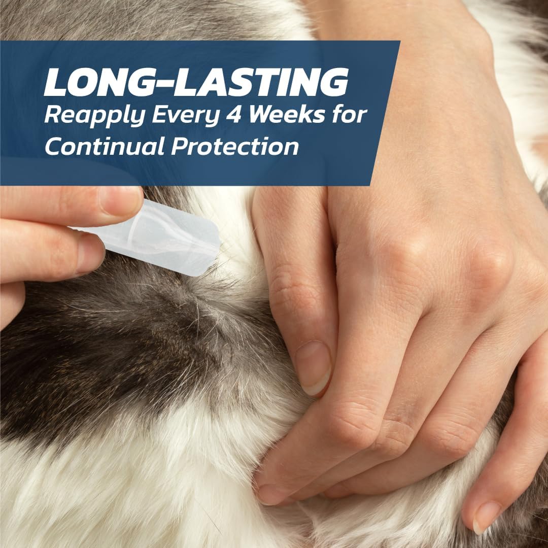 Cat Flea Treatment Spot On x 6 - Flea Treatment Cat Spot On for Cats & Kittens Over 1kg - 6 Pipettes, 6 Doses - Fast-Acting FleaSolve Solution