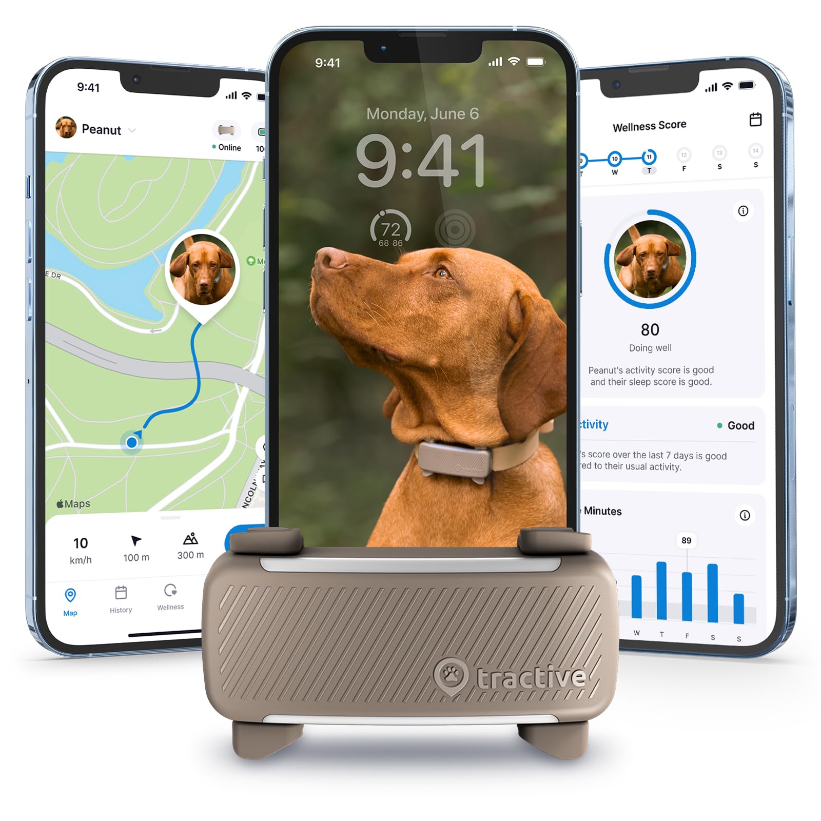 Tractive GPS Dog Tracker | 2025 Edition | Market leader | Real-time location tracking | Escape Alerts | Activity Monitoring | Health Alerts | Bark Monitoring (Black)