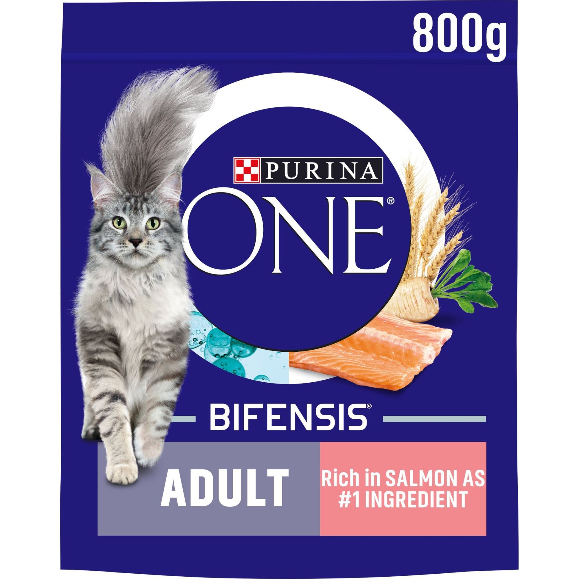 Purina ONE Adult Dry Cat Food Rich in Chicken 6kg, Packaging may vary