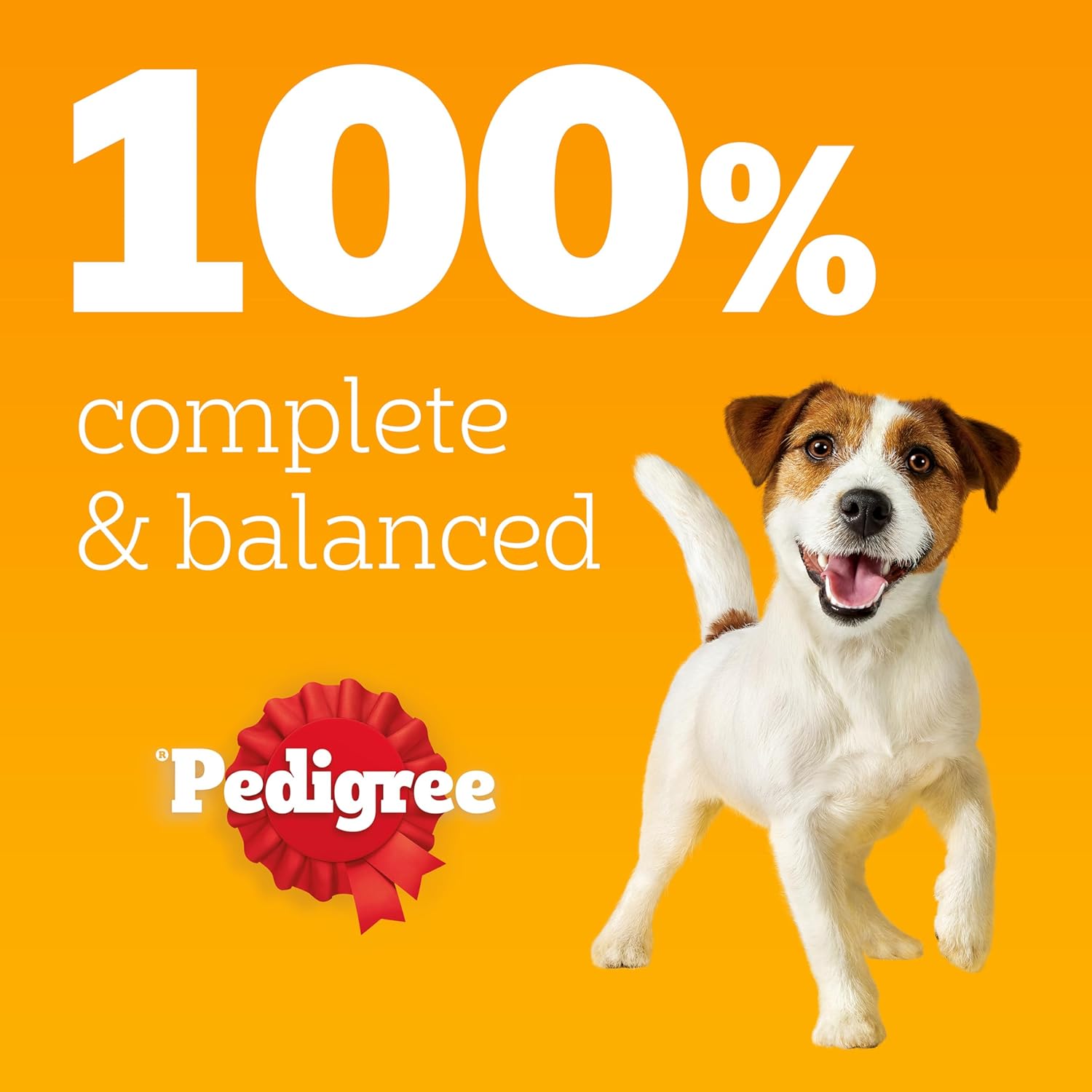 PEDIGREE - Adult Wet Dog Food Pouches - 40 x 100 g - Mixed Selection in Gravy - Dog Food Wet Bulk Pack