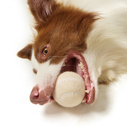 TUGME Outdoor Interactive Tennis Dog Toys