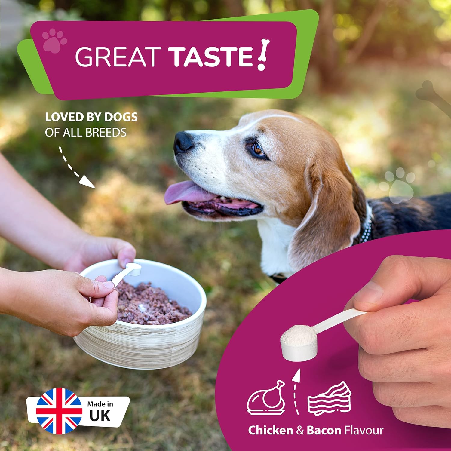 Dog Probiotic Powder – Bacon Flavour Probiotic for Dogs – Dog Digestive Supplements w/No Gluten or Dairy – Mix-In Powdered Probiotics for Dogs Powder by Furever Friendz