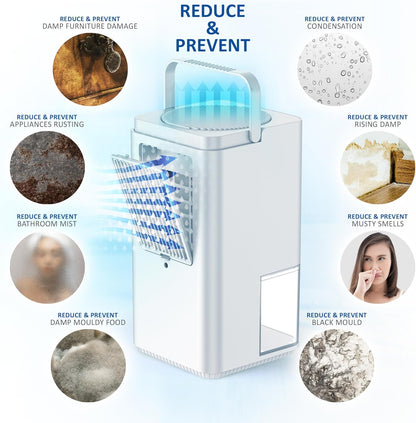 NETTA Dehumidifiers for Home Damp 1400ml Dehumidifier with Ultra Quiet & Auto Shut off 3 Colorful LED, 24Hr Timer Portable Mini Dehumidifier for Wardrobe Bathroom Closet - White