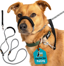 Figure of 8 Dog Lead - Anti Pull Stop Dogs Pulling - Rope Slip Leads with Padded Nose Support (Small/Medium)