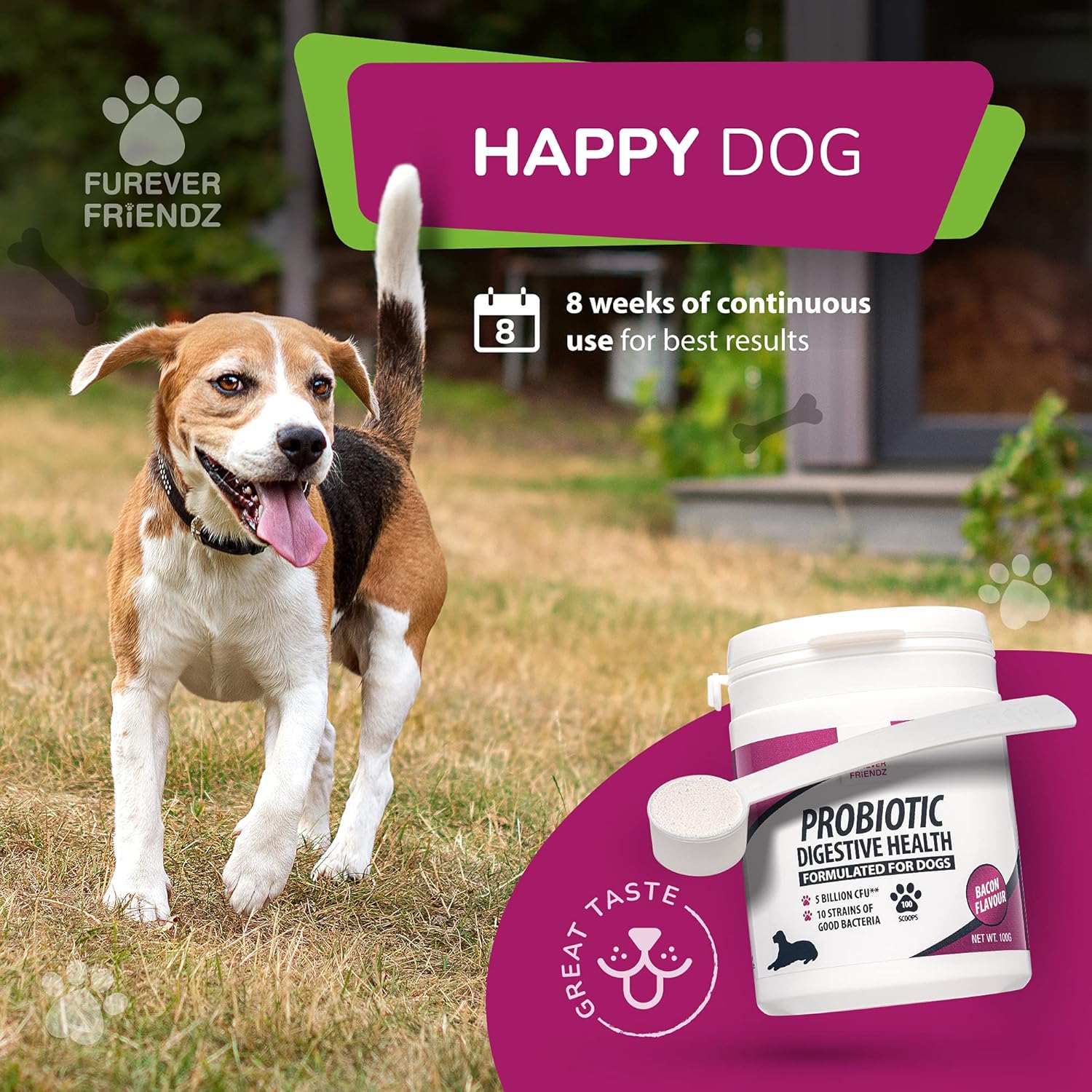 Dog Probiotic Powder – Bacon Flavour Probiotic for Dogs – Dog Digestive Supplements w/No Gluten or Dairy – Mix-In Powdered Probiotics for Dogs Powder by Furever Friendz