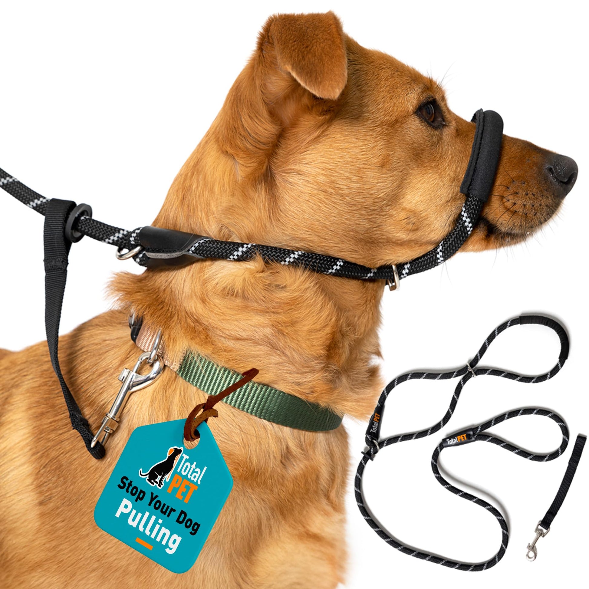 Figure of 8 Dog Lead - Anti Pull Stop Dogs Pulling - Rope Slip Leads with Padded Nose Support (Small/Medium)