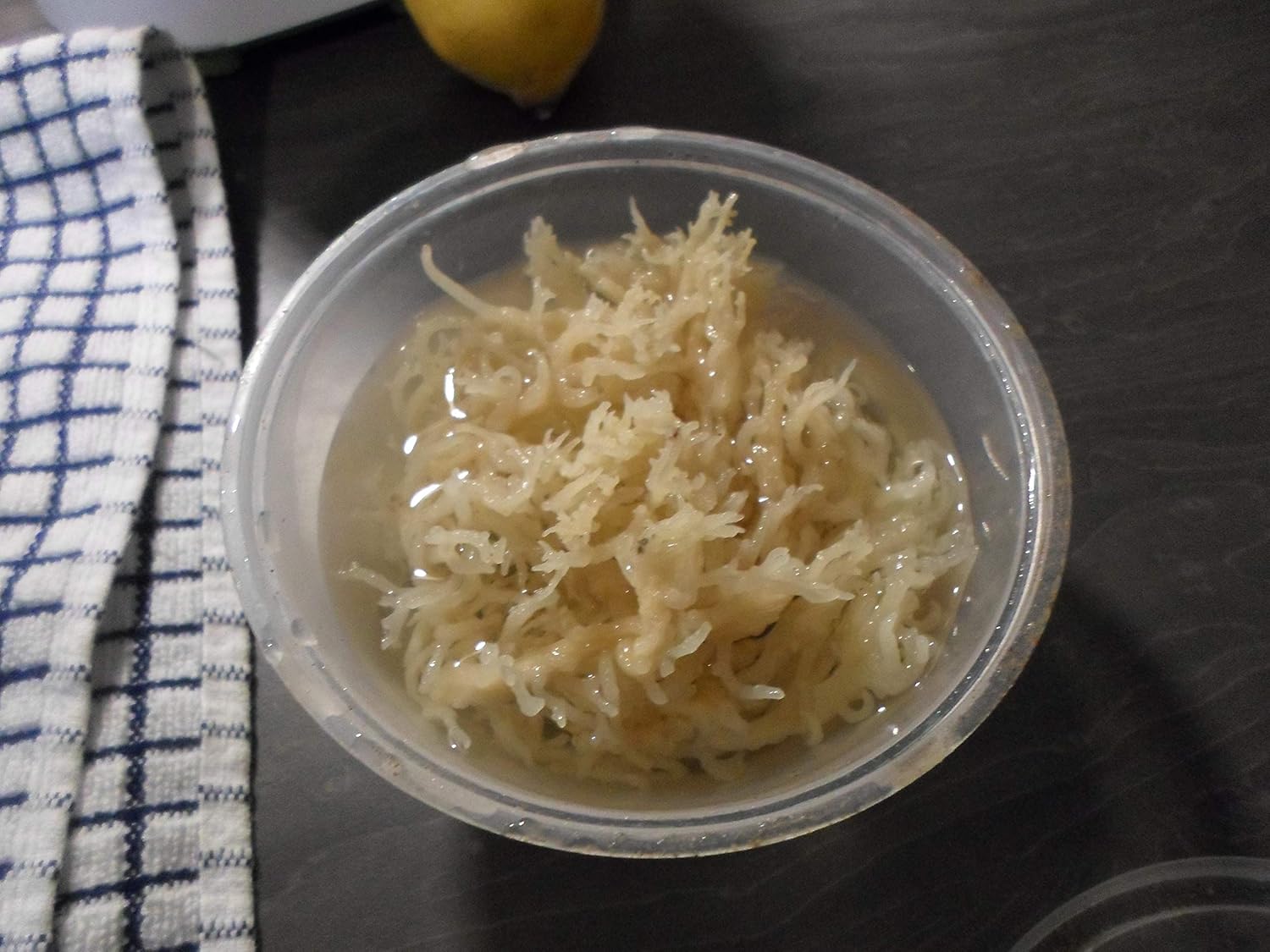 Wild Crafted Dried Gold Sea Moss 150g | from The Pristine Waters of The Caribbean Sea | Unbleached & NOT Grown on String
