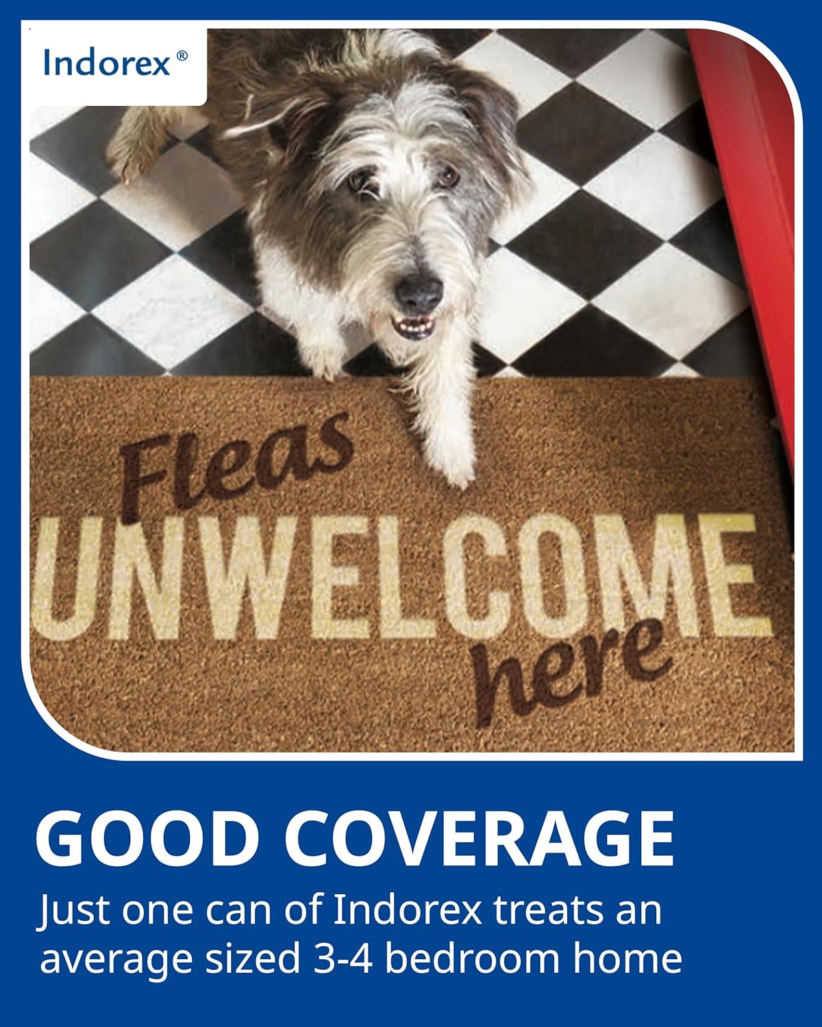 Indorex Defence Household Flea Spray | Protect Home from Fleas & House Dust Mites | Long-Lasting Protection for Up to 12 Months | 500ml Can