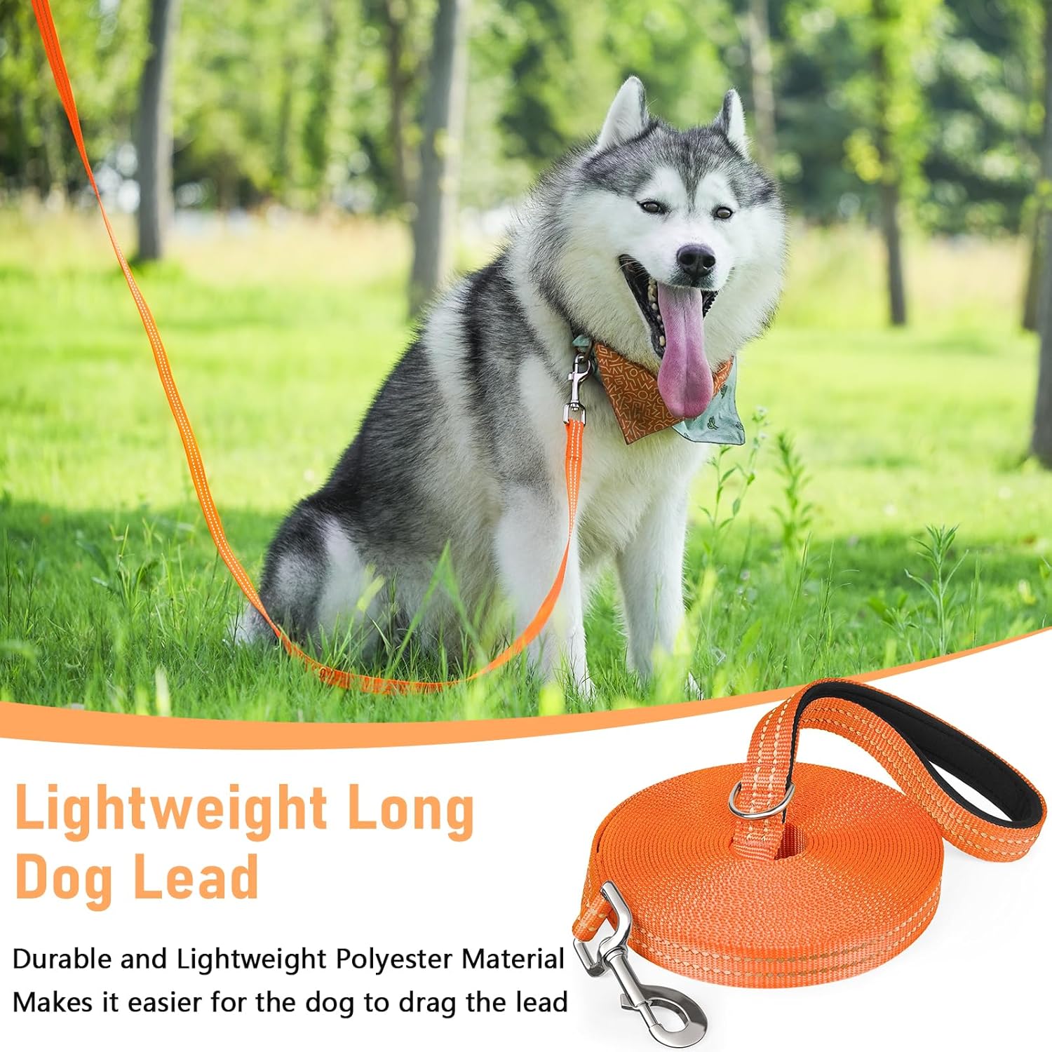 X XBEN Long Line Dog Lead, 3M 5M 10M 15M 20M 25M 30M Reflective & Lightweight Recall Training Lead for Dogs with Soft Padded Handle, Strong Extra Long Dog Lead Leash for Large Medium Small Puppy Dog