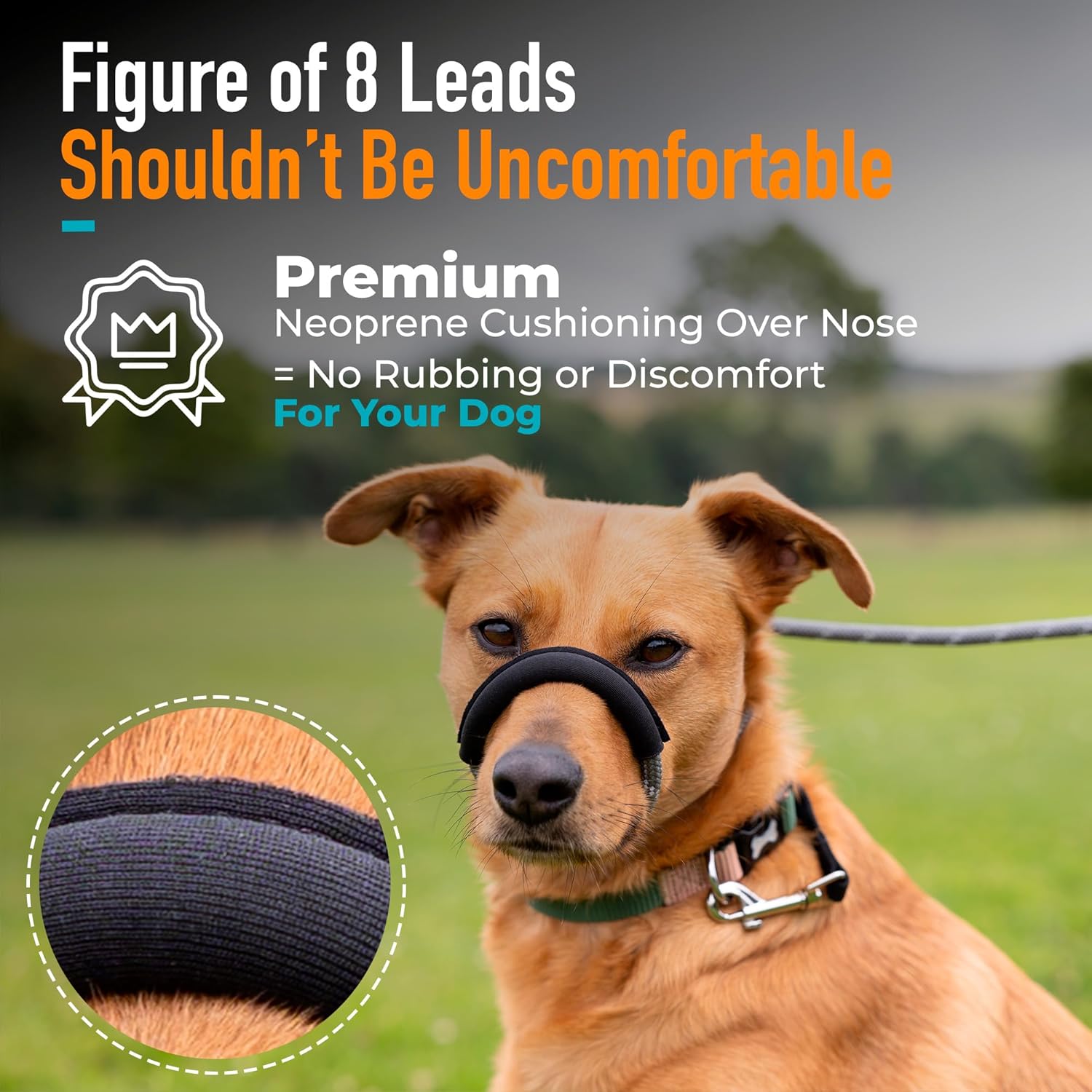 Figure of 8 Dog Lead - Anti Pull Stop Dogs Pulling - Rope Slip Leads with Padded Nose Support (Small/Medium)