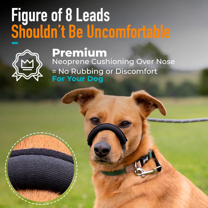 Figure of 8 Dog Lead - Anti Pull Stop Dogs Pulling - Rope Slip Leads with Padded Nose Support (Small/Medium)