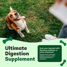 Probiotics For Dogs - Yeast Balance - Dog Probiotic for Gut Health, Diarrhea, Wind, Anal Gland - Tummy Settler - Itchy Skin - 120 Tablets with Prebiotics and Digestive Enzymes