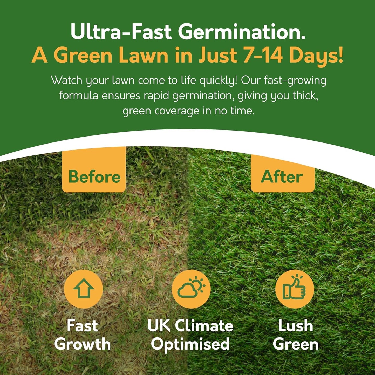 Premium Grass Seed 1.4 kg - Fast Growing, Hard-Wearing - Covers 84m² for Lawns & Overseeding - DEFRA Approved & Tailored for UK Climate (1.4kg)