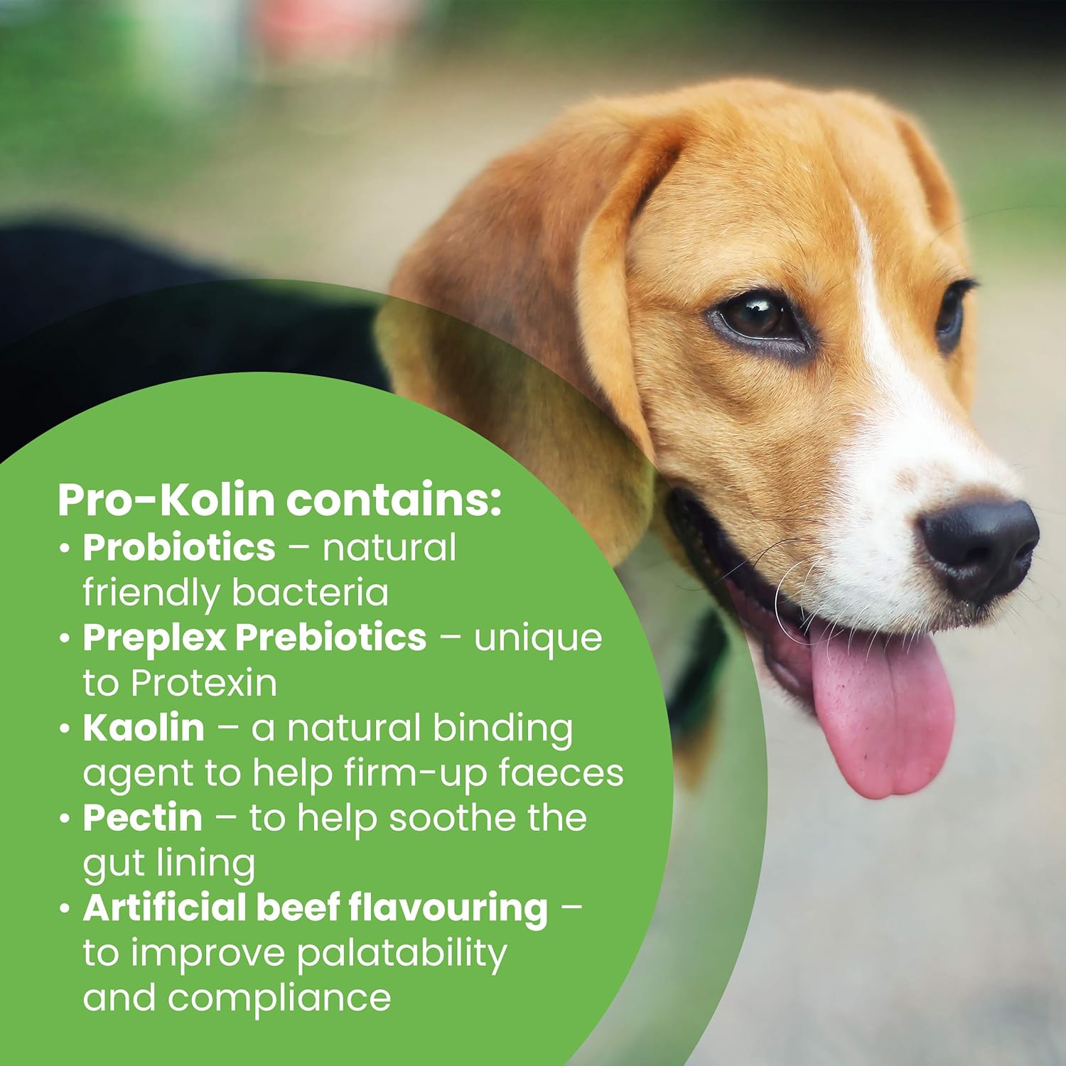 Protexin pet health Pro-Kolin for Dogs and Cats Probiotic Paste and Syringe, 60 ml (Pack of 1)