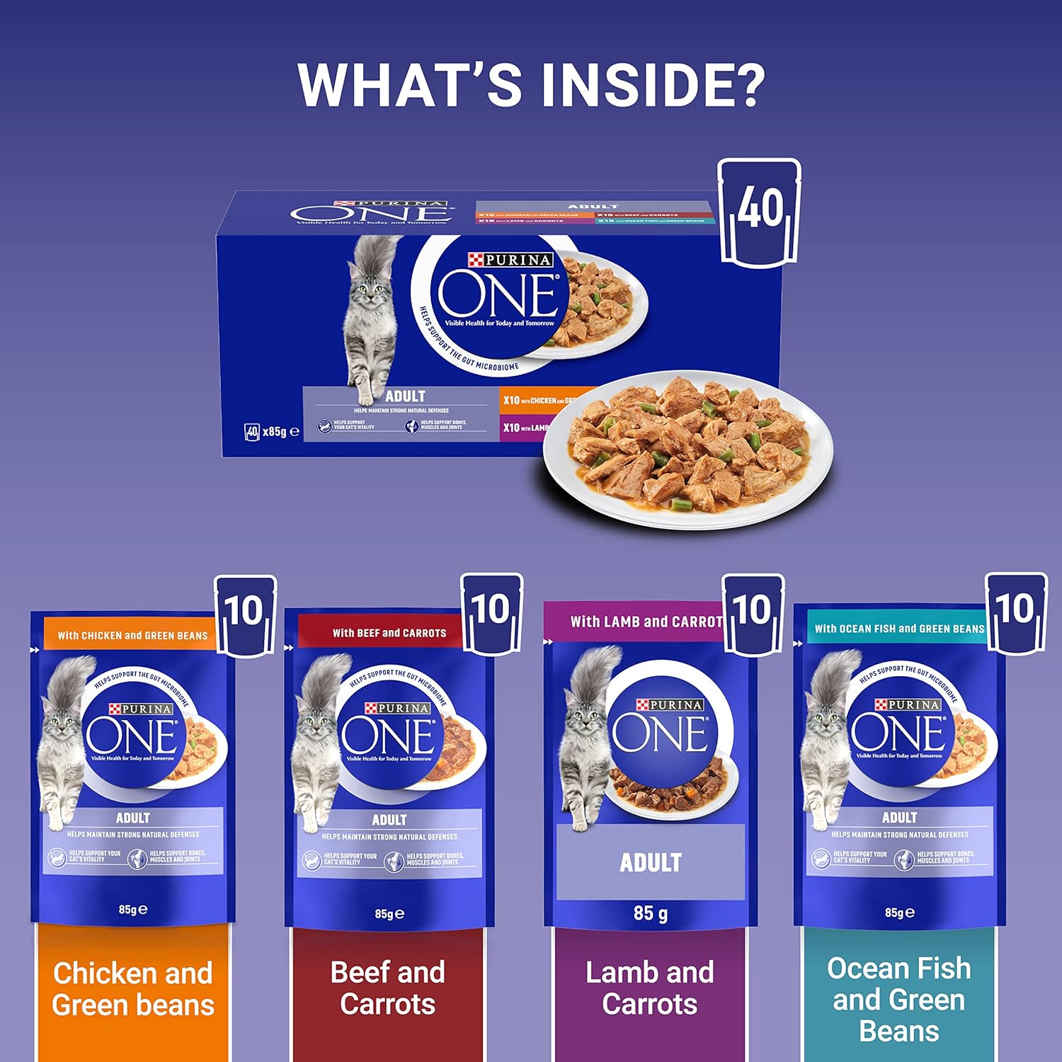 PURINA ONE Mini Fillets Mixed Selection in Gravy Wet Cat Food 40x85g