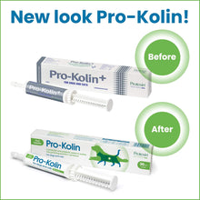 Protexin pet health Pro-Kolin for Dogs and Cats Probiotic Paste and Syringe, 60 ml (Pack of 1)