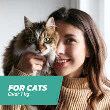 Cat Flea Treatment Spot On x 6 - Flea Treatment Cat Spot On for Cats & Kittens Over 1kg - 6 Pipettes, 6 Doses - Fast-Acting FleaSolve Solution