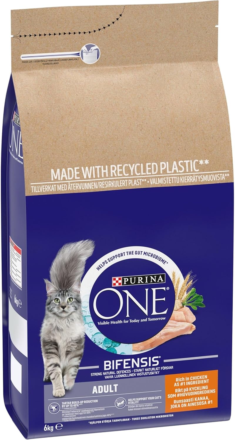 Purina ONE Adult Dry Cat Food Rich in Chicken 6kg, Packaging may vary